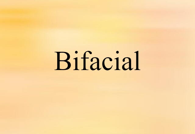 Bifacial (noun) Definition, Meaning & Examples