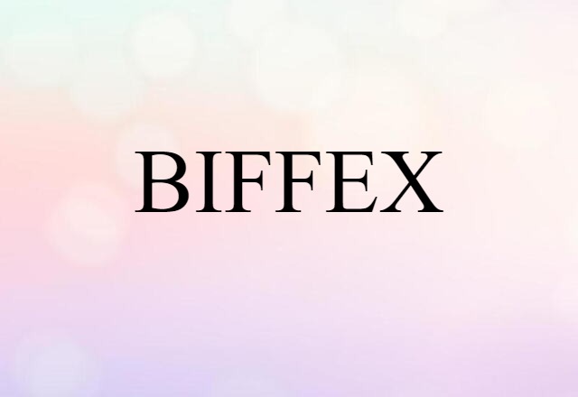 BIFFEX (noun) Definition, Meaning & Examples