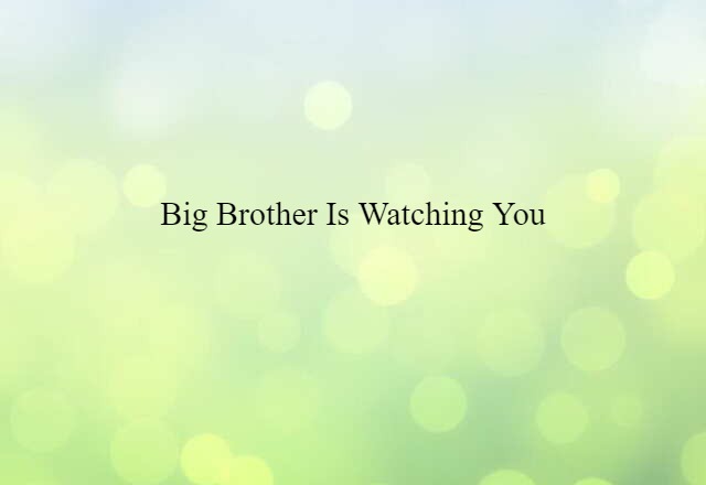 Big Brother is watching you