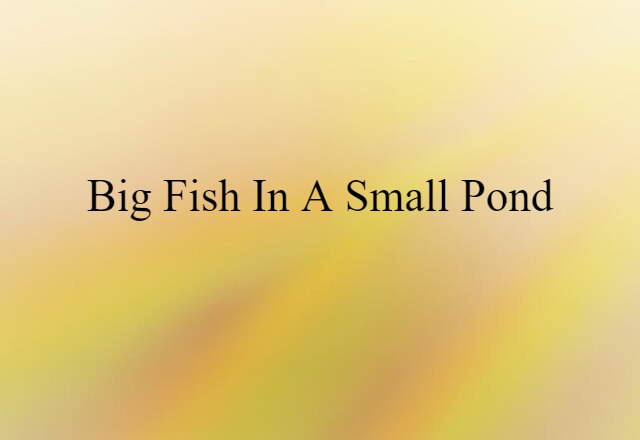 Big Fish In A Small Pond (noun) Definition, Meaning & Examples