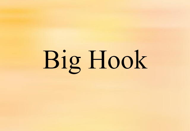 Big Hook (noun) Definition, Meaning & Examples