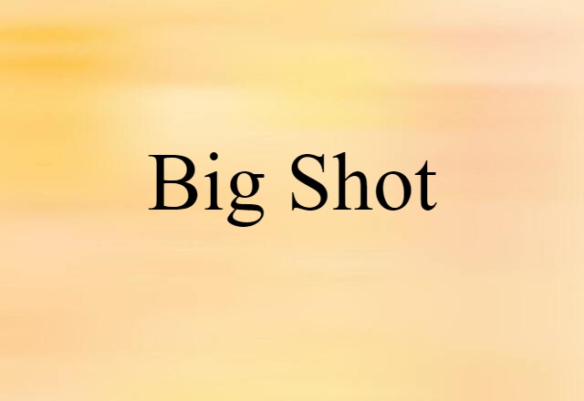 Big Shot (noun) Definition, Meaning & Examples