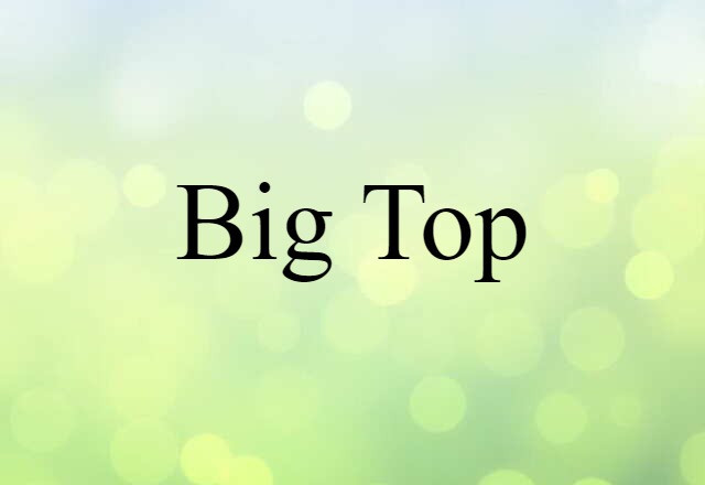 Big Top (noun) Definition, Meaning & Examples