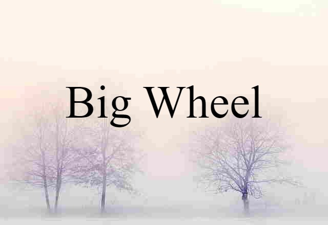 Big Wheel (noun) Definition, Meaning & Examples