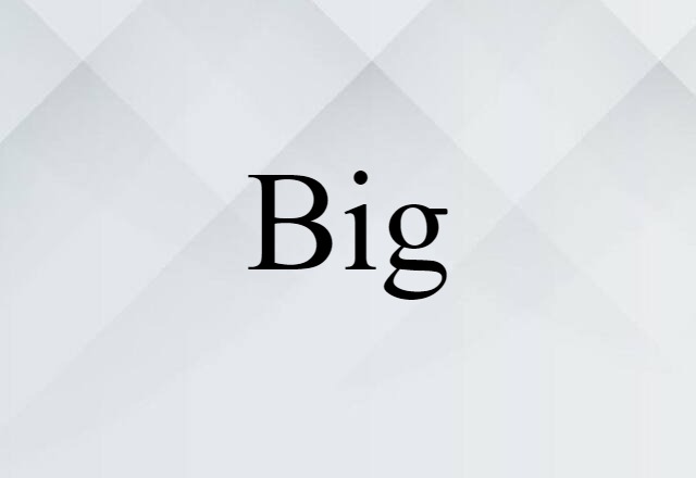 Big (noun) Definition, Meaning & Examples