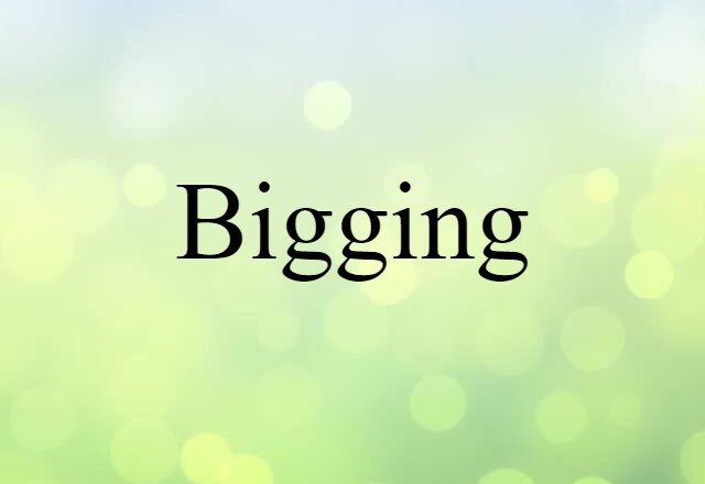 Bigging (noun) Definition, Meaning & Examples