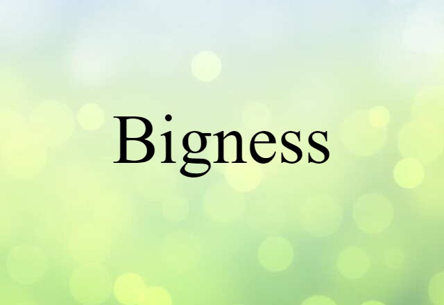 Bigness (noun) Definition, Meaning & Examples