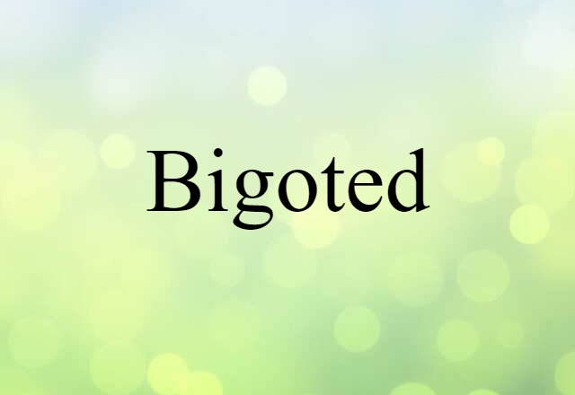 Bigoted (noun) Definition, Meaning & Examples