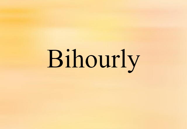 Bihourly (noun) Definition, Meaning & Examples