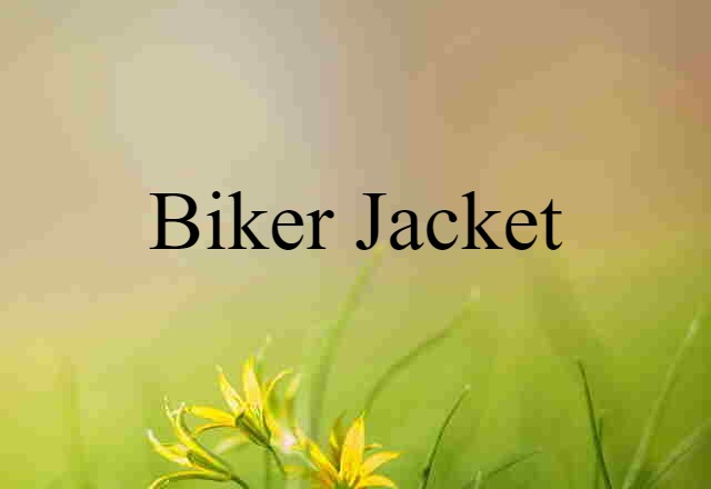 Biker Jacket (noun) Definition, Meaning & Examples