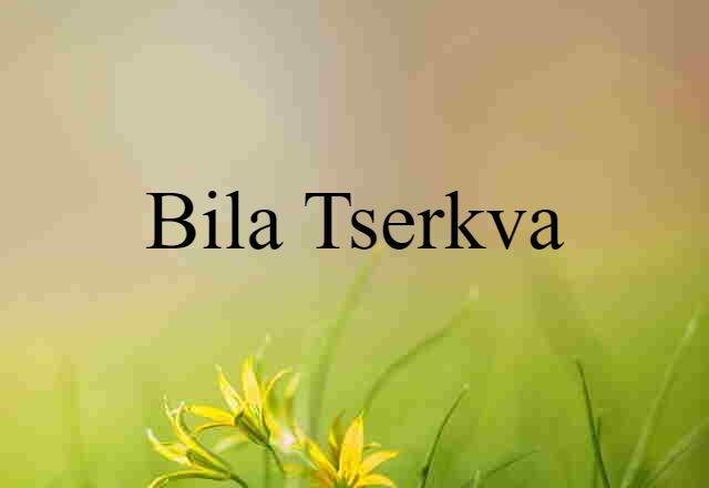 Bila Tserkva (noun) Definition, Meaning & Examples