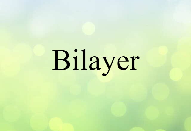 bilayer