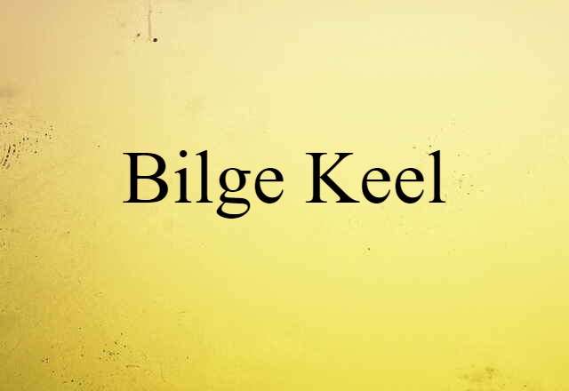 Bilge Keel (noun) Definition, Meaning & Examples