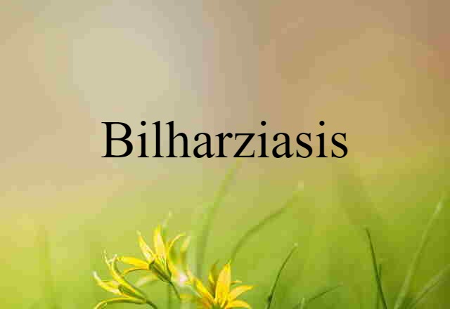 bilharziasis