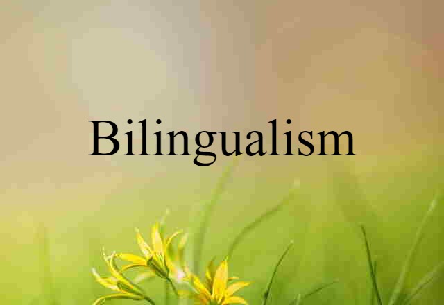 Bilingualism (noun) Definition, Meaning & Examples