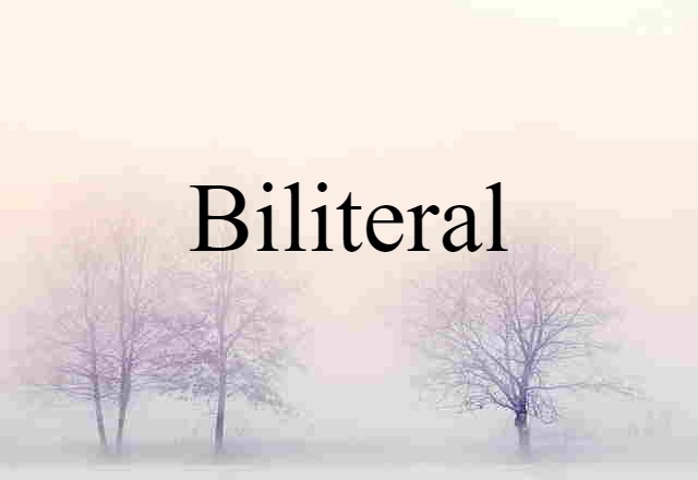 Biliteral (noun) Definition, Meaning & Examples