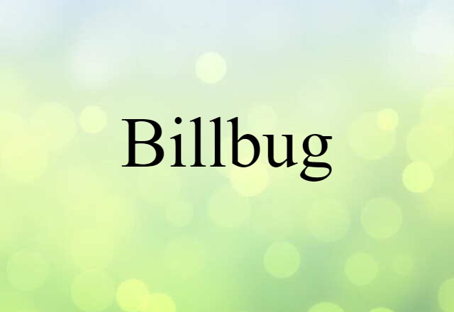 Billbug (noun) Definition, Meaning & Examples