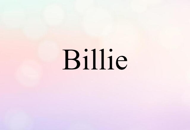 Billie (noun) Definition, Meaning & Examples