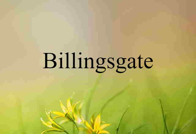 Billingsgate (noun) Definition, Meaning & Examples