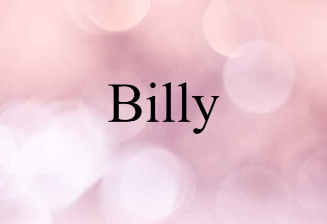 Billy (noun) Definition, Meaning & Examples