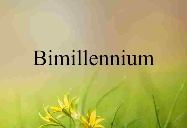 Bimillennium (noun) Definition, Meaning & Examples