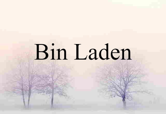 Bin Laden (noun) Definition, Meaning & Examples