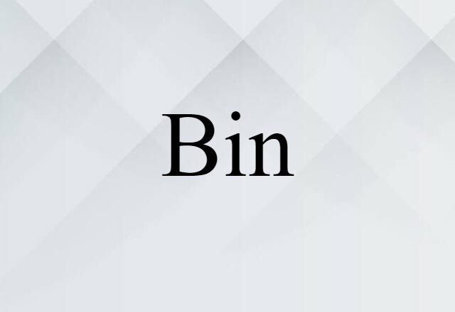 Bin (noun) Definition, Meaning & Examples