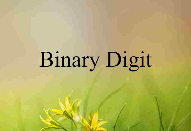 Binary Digit (noun) Definition, Meaning & Examples