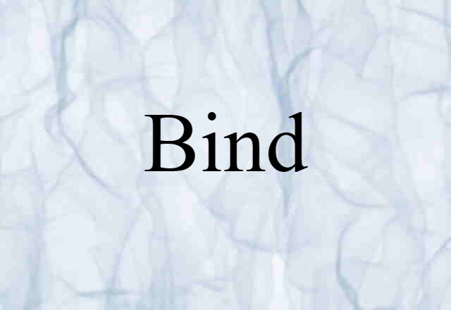 Bind (noun) Definition, Meaning & Examples