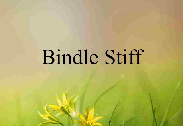 bindle stiff