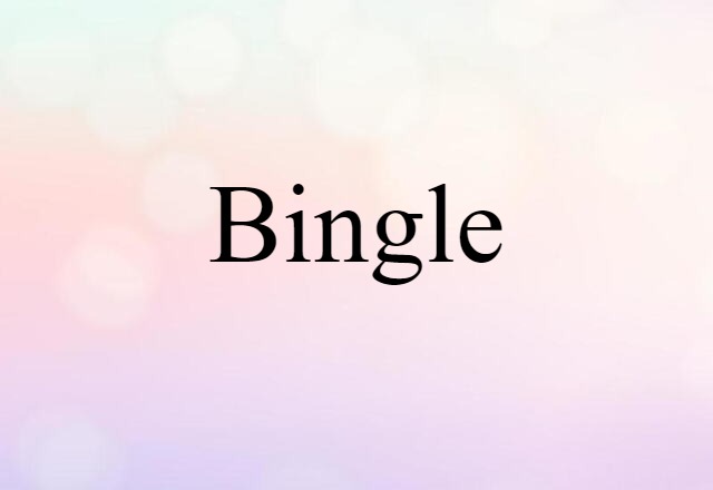 Bingle (noun) Definition, Meaning & Examples