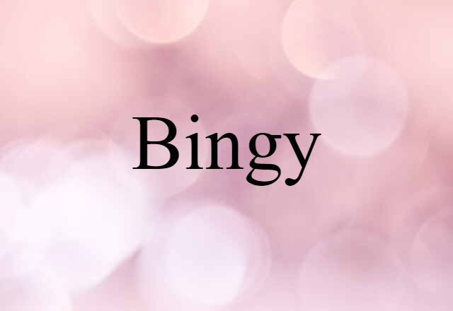 Bingy (noun) Definition, Meaning & Examples