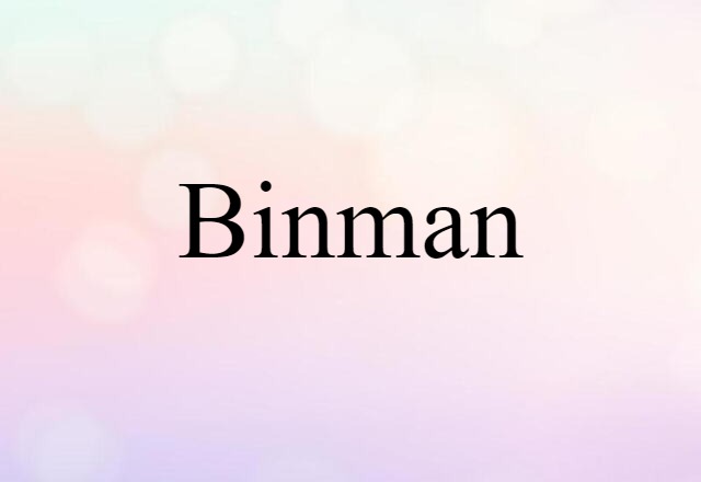 Binman (noun) Definition, Meaning & Examples