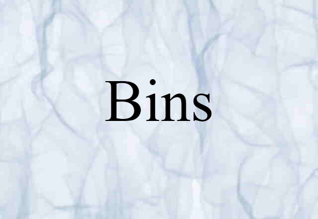 Bins (noun) Definition, Meaning & Examples