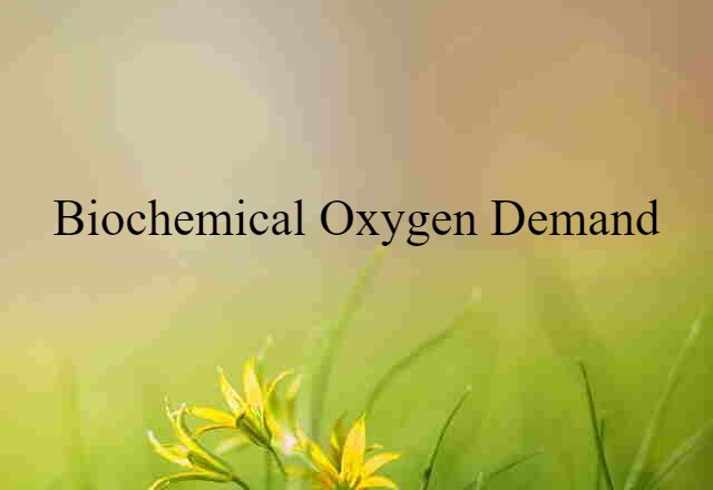 biochemical oxygen demand