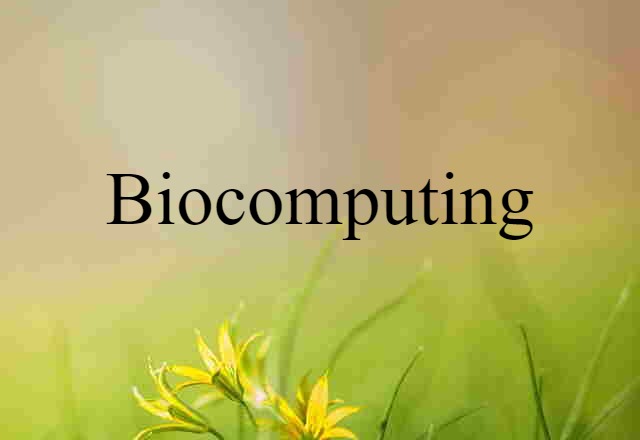 Biocomputing (noun) Definition, Meaning & Examples