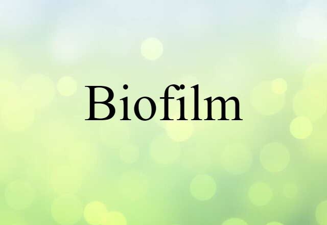 Biofilm (noun) Definition, Meaning & Examples