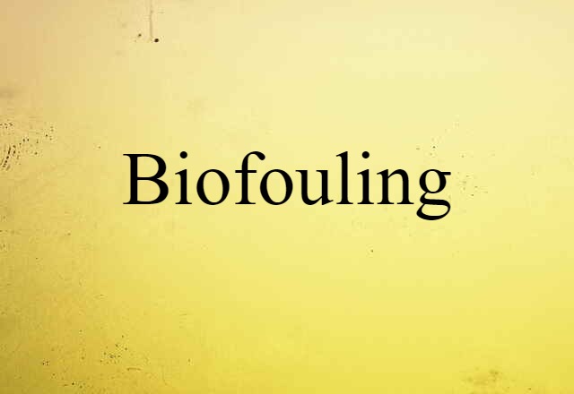 Biofouling (noun) Definition, Meaning & Examples