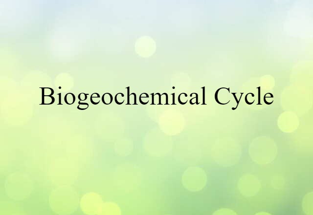 biogeochemical cycle