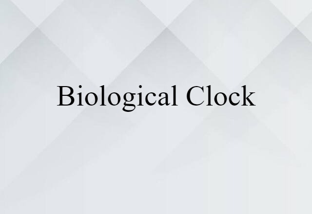 biological clock