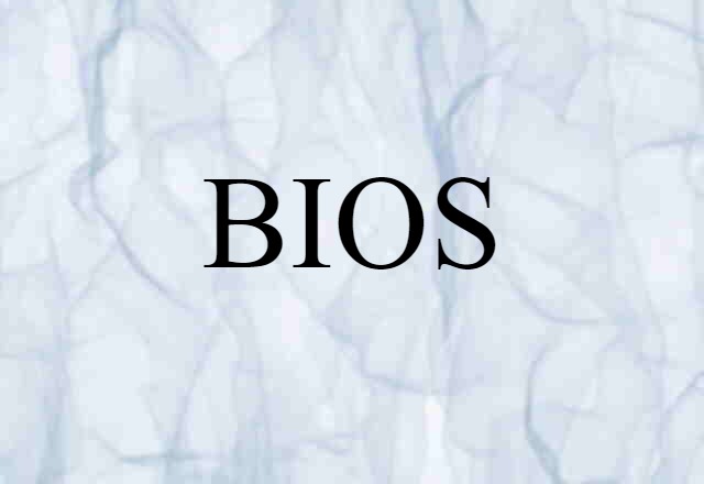 BIOS (noun) Definition, Meaning & Examples