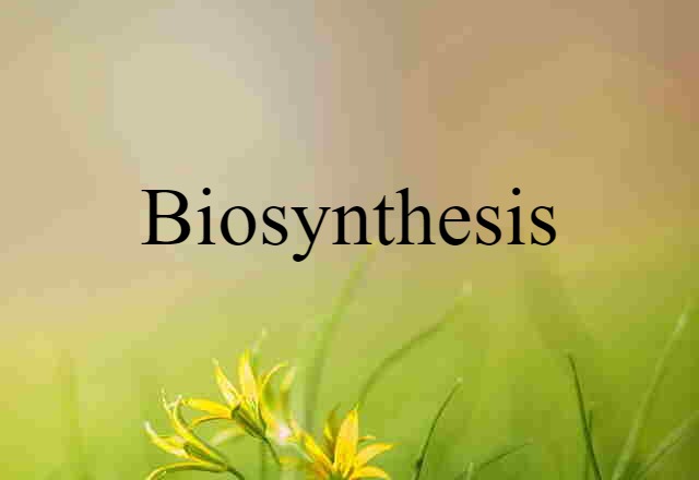 Biosynthesis (noun) Definition, Meaning & Examples