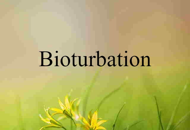 bioturbation