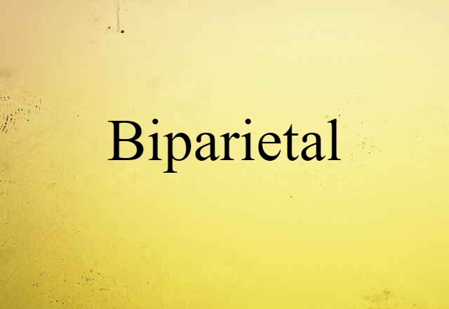 biparietal