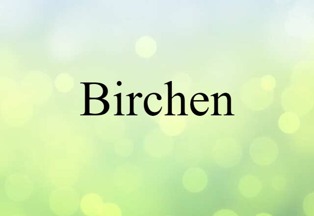 Birchen (noun) Definition, Meaning & Examples