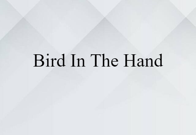 Bird In The Hand (noun) Definition, Meaning & Examples