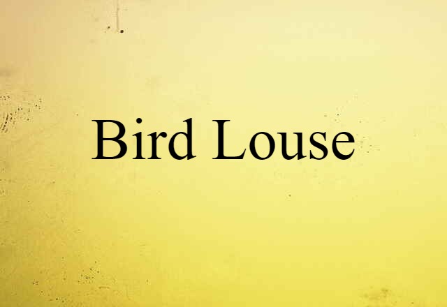 bird louse