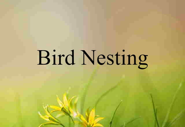 bird-nesting