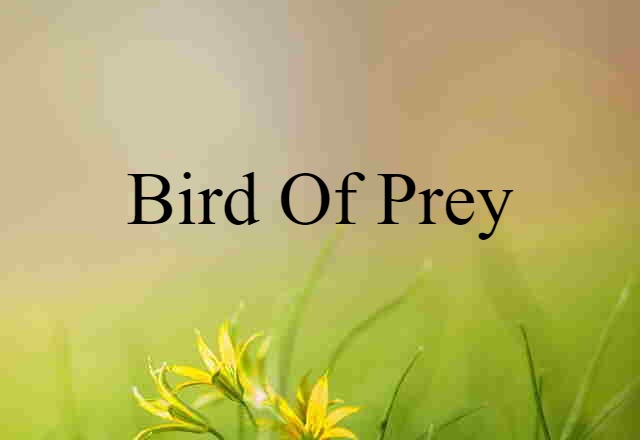 bird of prey