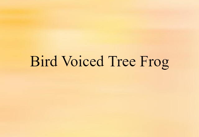 bird-voiced tree frog